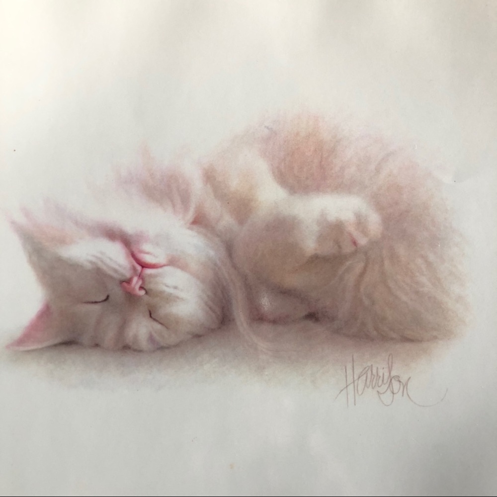 Small Print - Sleepy Time Kitten